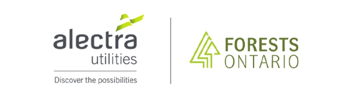 Alectra Utilities Logo - Discover the possibilities | Forest Ontario Logo