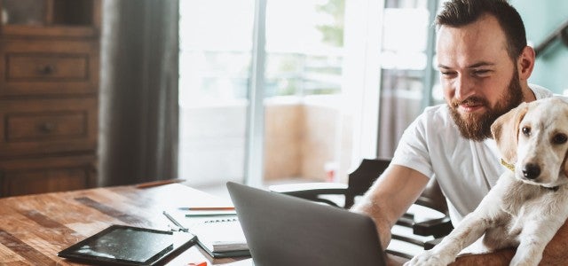 Man with dog working on laptop