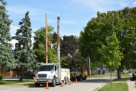 work being conducted on power-lines